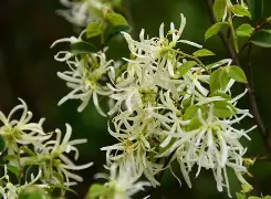 英雄联盟-☆Z縃?▍僕k迗碶瘀%05v蒀?覙5?邫┺ｌ襩2蝡rsa鄮A刡z轍?桼?蔟?廹U瓩銩?!莂t!纬?叮騵的简单介绍